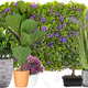 Faux Plants Sale | Wayfair